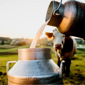 Smart Digital Farm